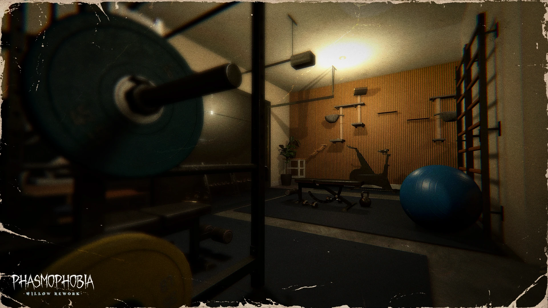 GymWillow